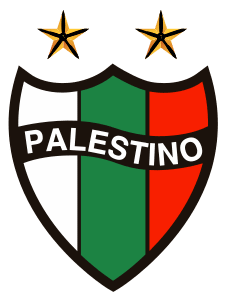 Club Deportivo Palestino