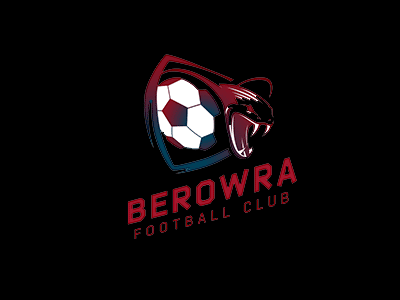 Berowra Soccer Club Australia