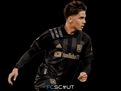 christian torres - player profile