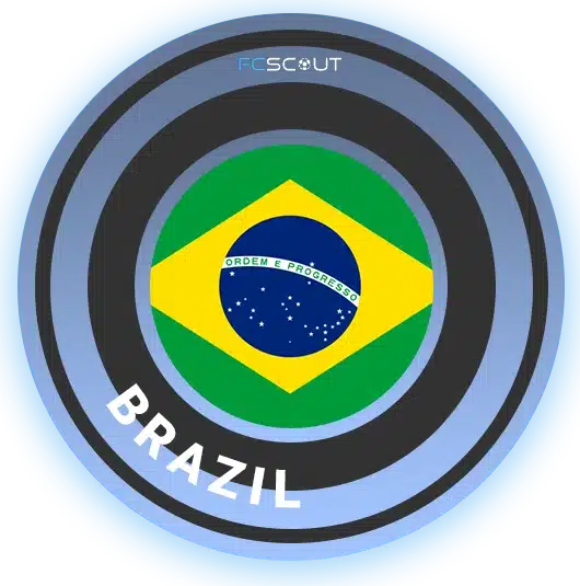 Brazil soccer clubs